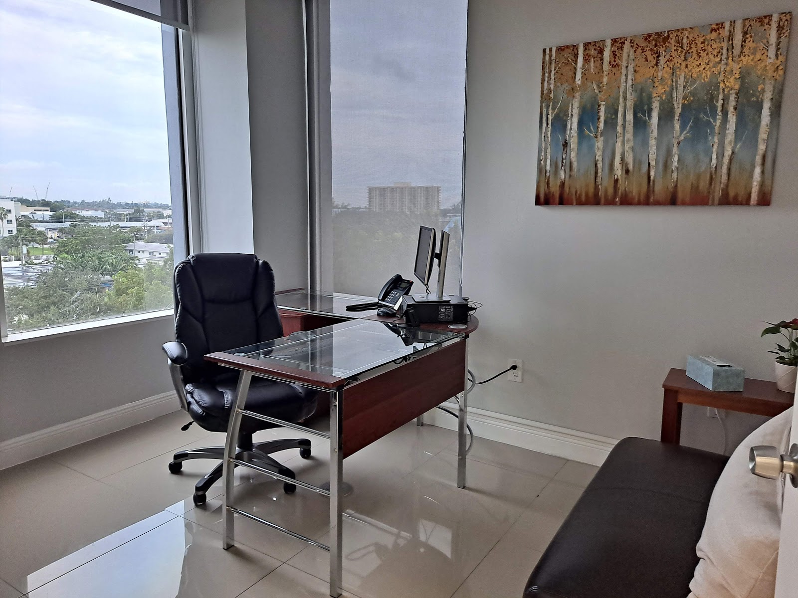 Ascend Behavioral Health Services