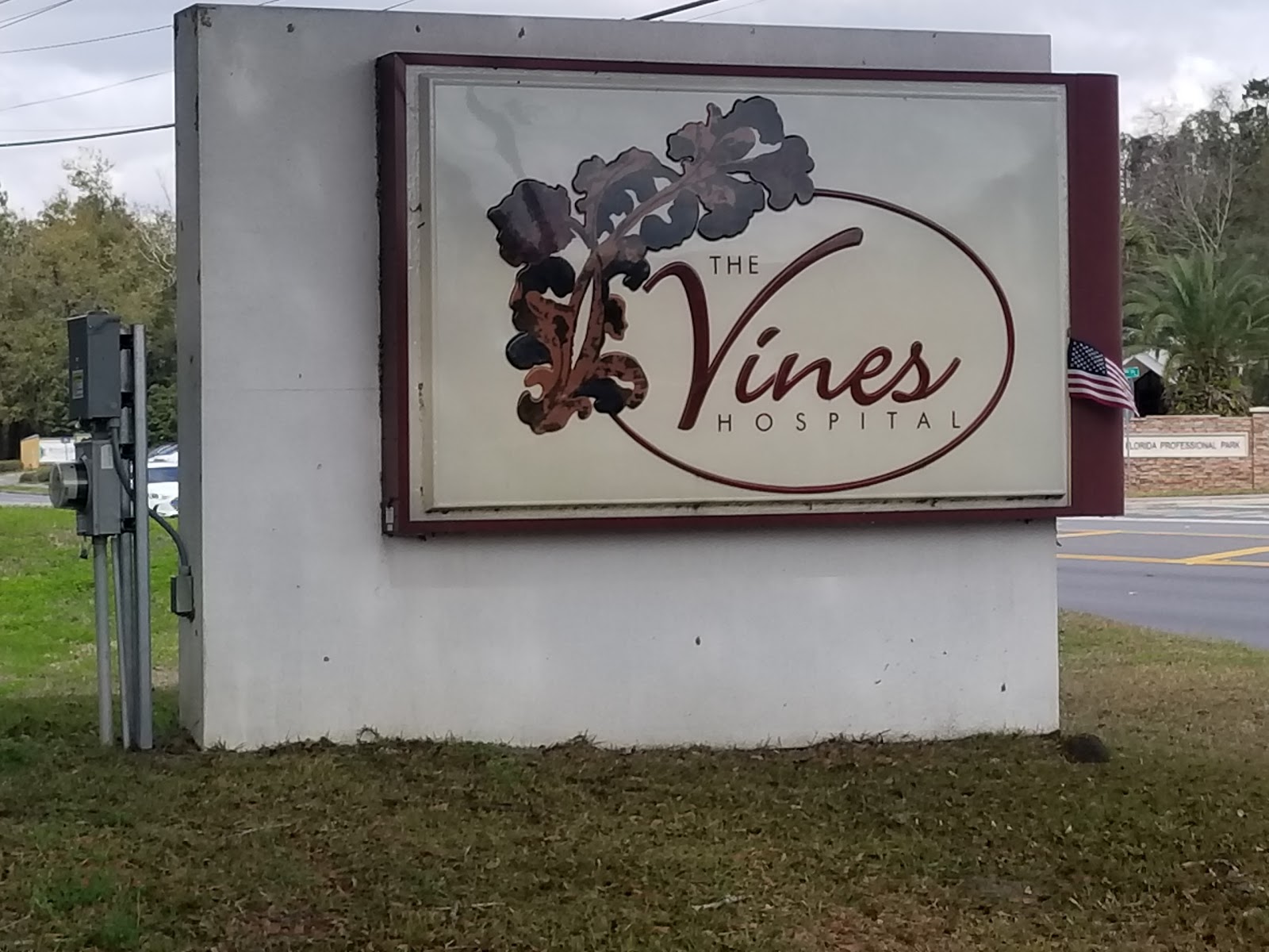 Vines Hospital