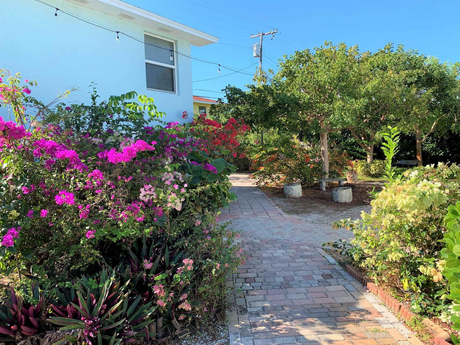 Clean and Sober Recovery Center - Better Tomorrow Treatment Center